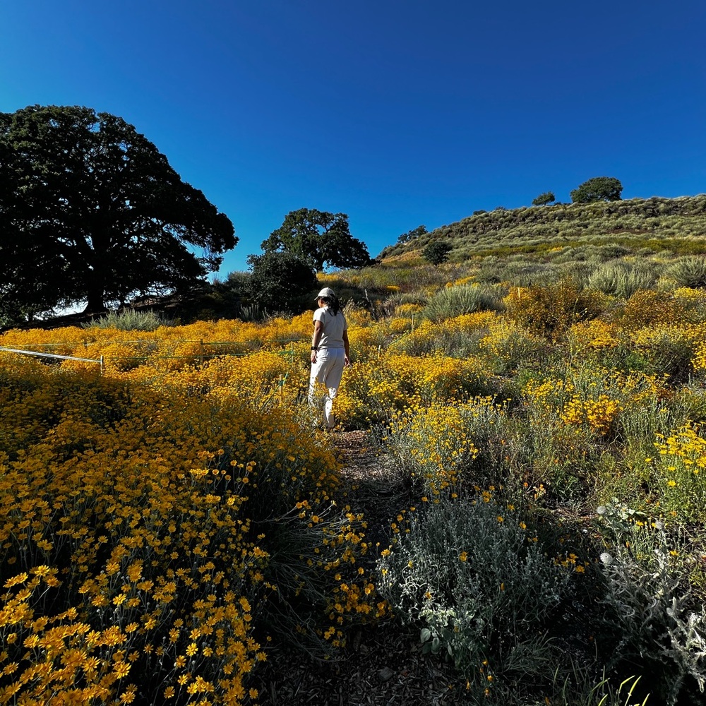 Meet your Posher, May